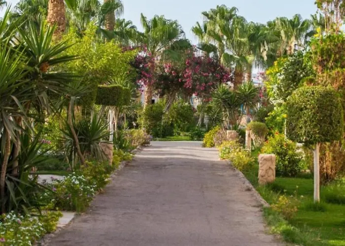 Lillyland Mirage Bay & Aqua Park Hotel Hurghada